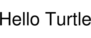 Hello Turtle logo