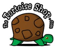 The Tortoise Shop Vouchers