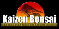 Kaizen Bonsai logo