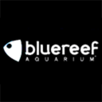 Blue Reef Aquarium Newquay logo