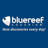 Blue Reef Aquarium Hastings logo