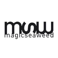 Magicseaweed logo