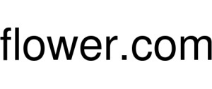 Flower.com logo