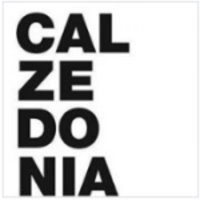 Calzedonia logo