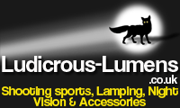 Ludicrous-Lumens logo