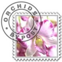Orchids by Post logo