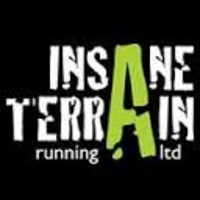 Insane Terrain logo